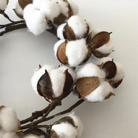 Why organic cotton?